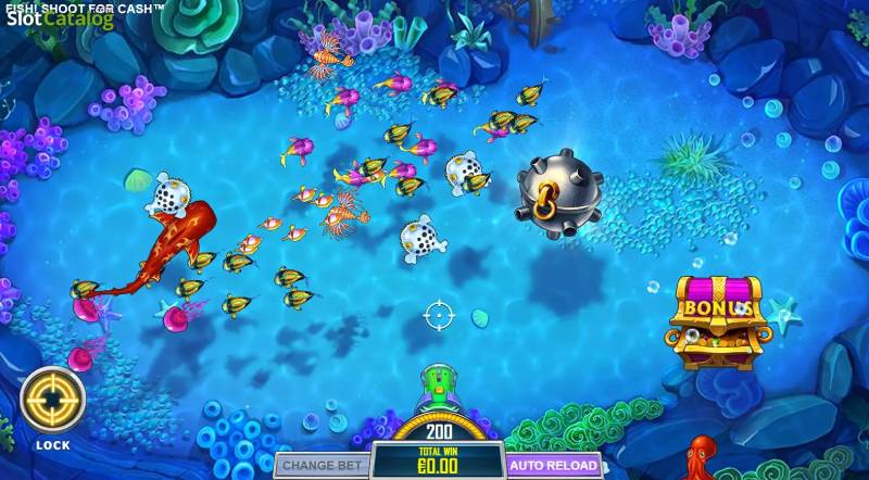 Khi nào nên bắn cá và khi nào nên tiết kiệm đạn?