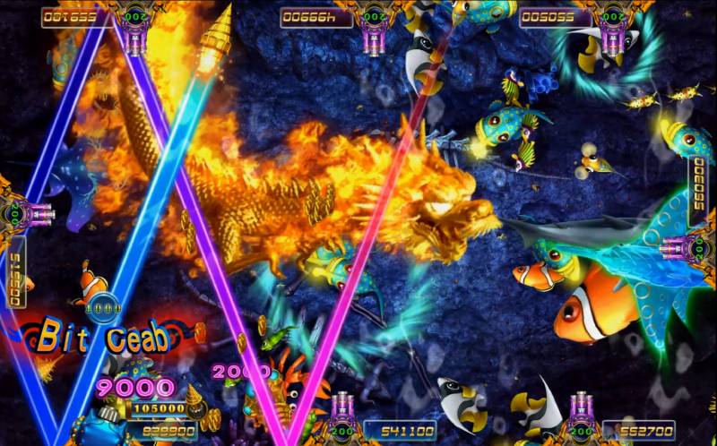 Nhắm đúng vào các loại cá đặc biệt